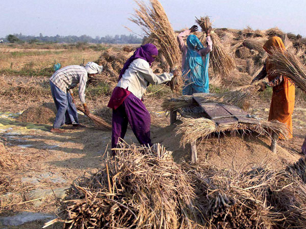 ரூ.33 வருவாய்