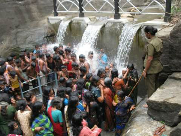 லட்சுமி பாட்டியிடம் சங்கிலிப் பறிப்பு