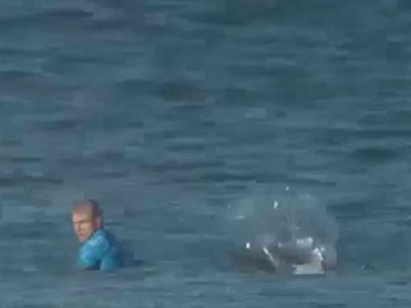 போராடி உயிர்பிழைப்பு: போராடி உயிர்பிழைப்பு: