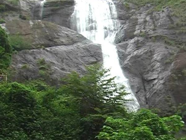 Kerala forest cheats tourists