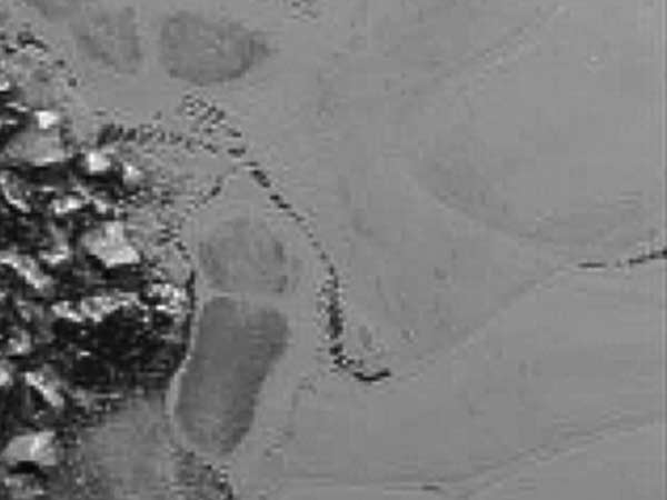 பனி மலை தான்..