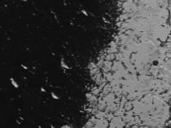 ஆய்வுகள்...