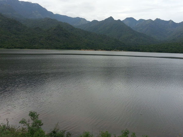 அருவியில் வெள்ளம்