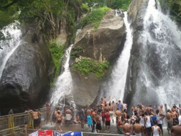 நாய்கண்காட்சி