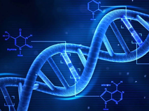 சரிசெய்யப்பட்ட டி.என்.ஏ.க்கள்...