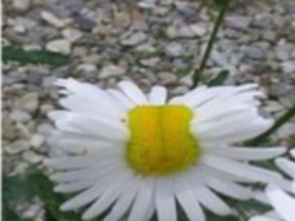 பார்க்கவே முடியலையே: