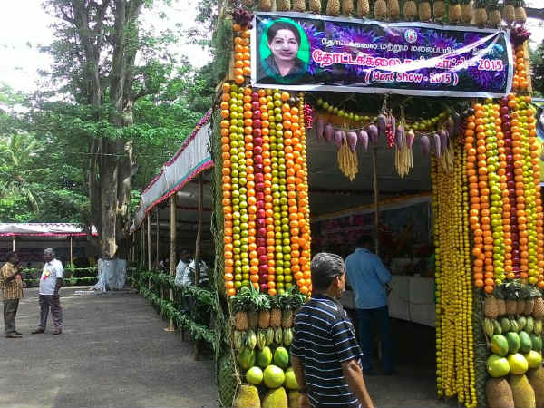 DSP Aravindan wins in Courtallam Swimming contest