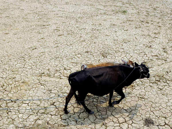 வறண்டு போன ஏரிகள்