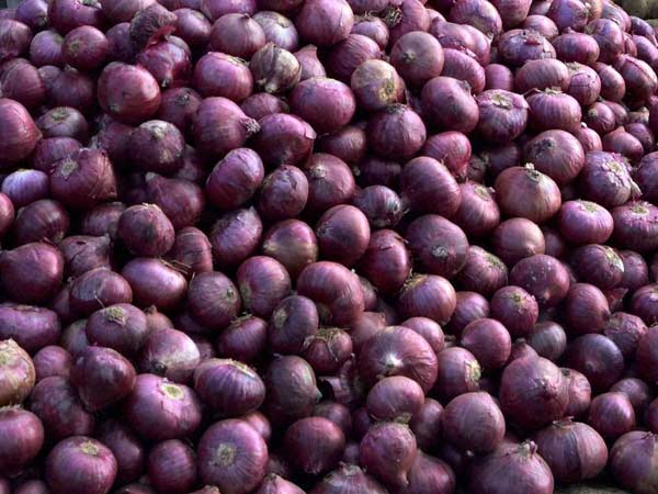 உயர்ந்து நிற்கும் வெங்காயம்: