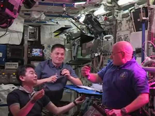 கீரை அறுவடை...