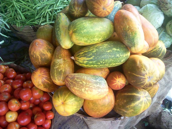 விவசாயிகள்...