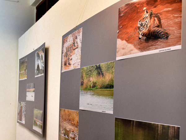 World photography day today