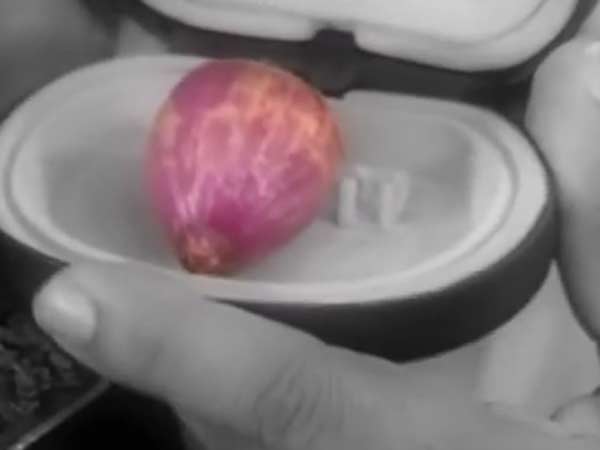 அட வெங்காயம்! அட வெங்காயம்!