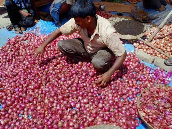 காயம் தரும் வெங்காயம்: