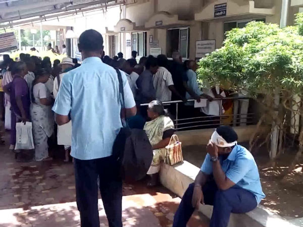 Two engine drivers injured as peacock attacks them