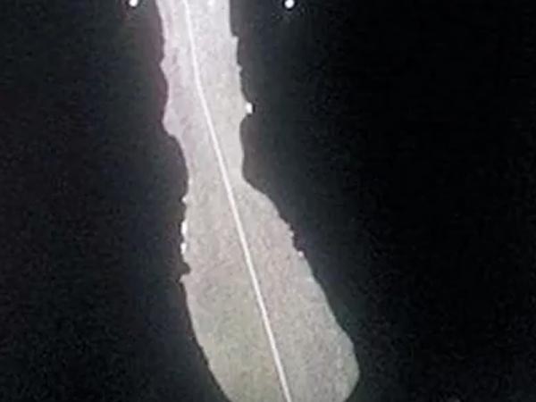 பரிதாப வாழ்க்கை