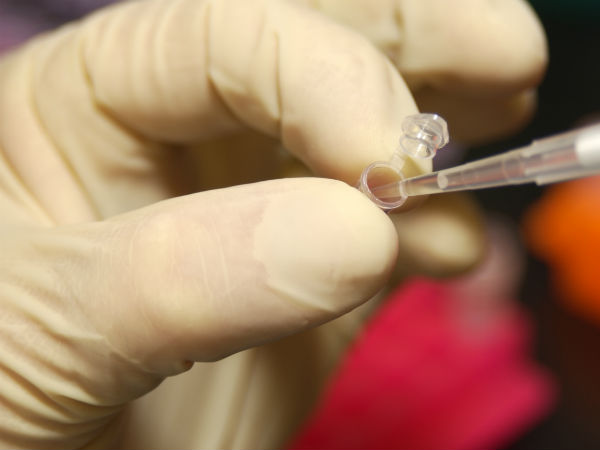 மரபணு சேமிக்கப்படும்