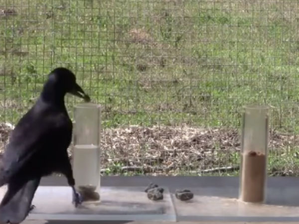 6 சோதனைகள்...