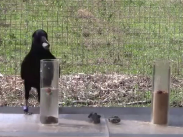 யூடியூப்பில்...