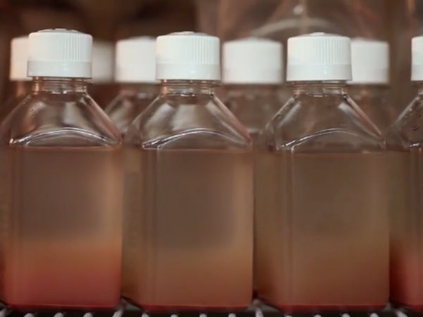 பாக்டீரியா கலவை...