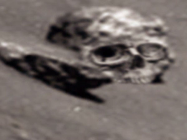 தோண்ட தோண்ட சடலங்கள் தோண்ட தோண்ட சடலங்கள்