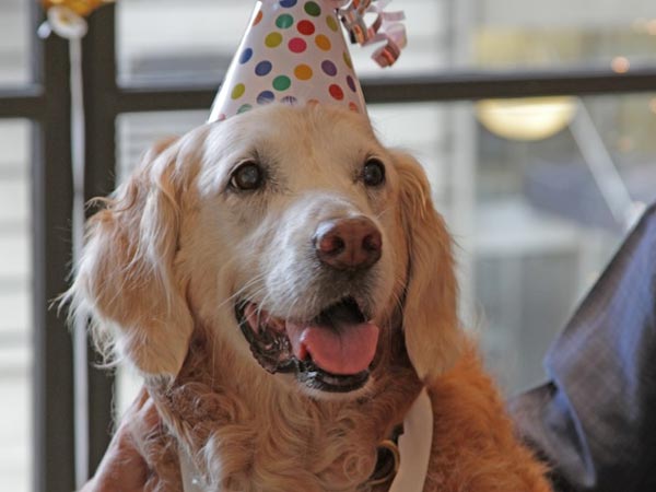 சிறப்பு விருந்து...