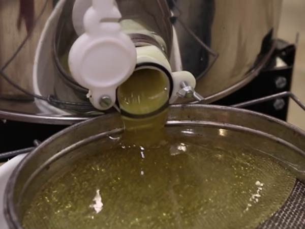 பால், தேன், சீஸ்...