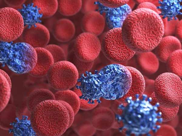 எல்மானி...