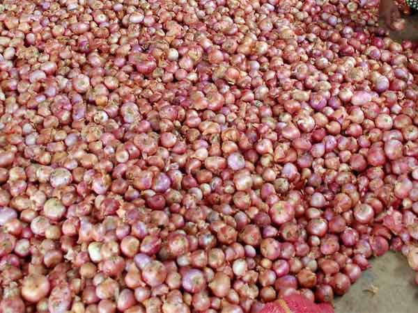 சிறுவிவசாயிகள் விவசாய தொழில் அமைப்பிடமிருந்து வாங்கினோம்...