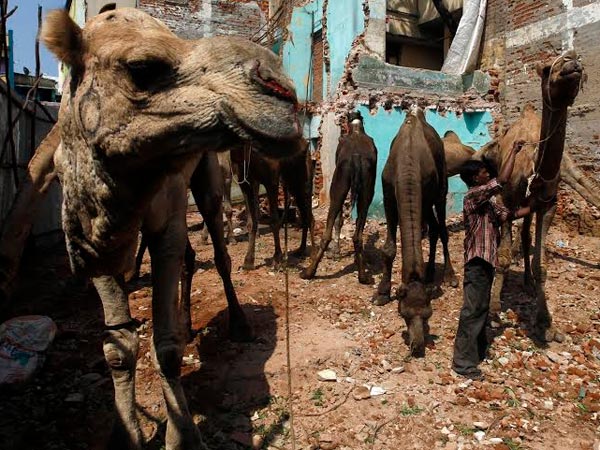 ஹைகோர்ட் உத்தரவு