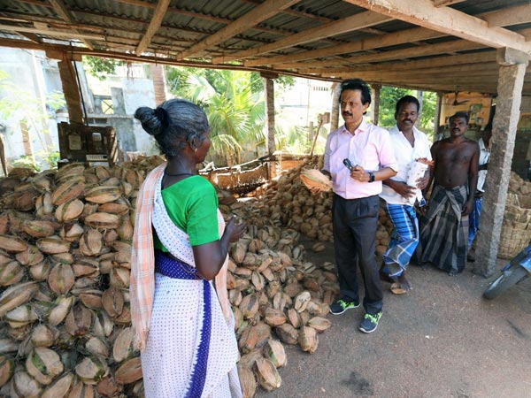 தேங்காய் உரிக்கும் தொழிலாளி