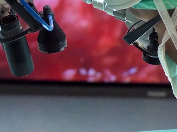 19 வருட ஆராய்ச்சி...