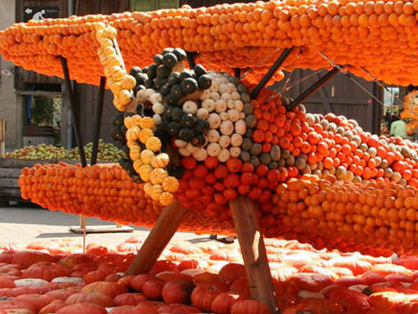 லுட்விக்ஸ்பர்க் பூசணித் திருவிழா...