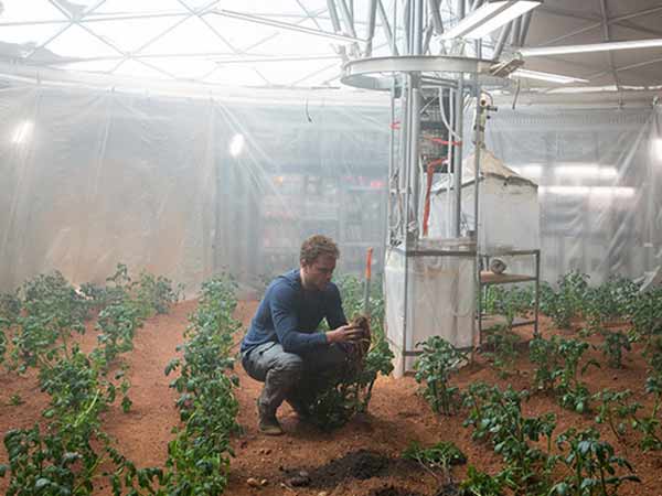 Forget 'The Martian,' NASA set to grow veggies on Mars