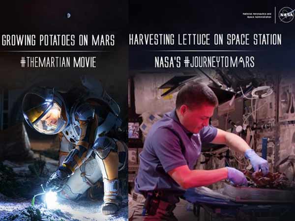 Forget 'The Martian,' NASA set to grow veggies on Mars