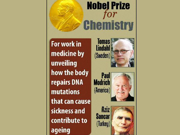 செல்லின் செயல்பாடு... செல்லின் செயல்பாடு...