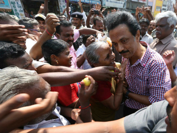 பாட்டிக்கு பரிவு