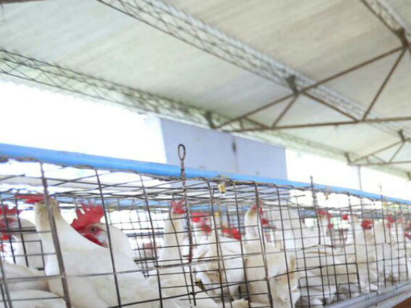 தொடரும் நஷ்டம்