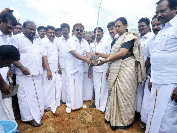 மரக்கன்றுகள்