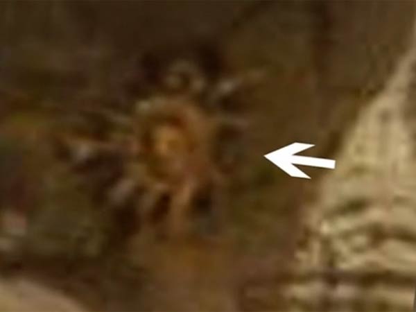 புத்தர் சிலை...