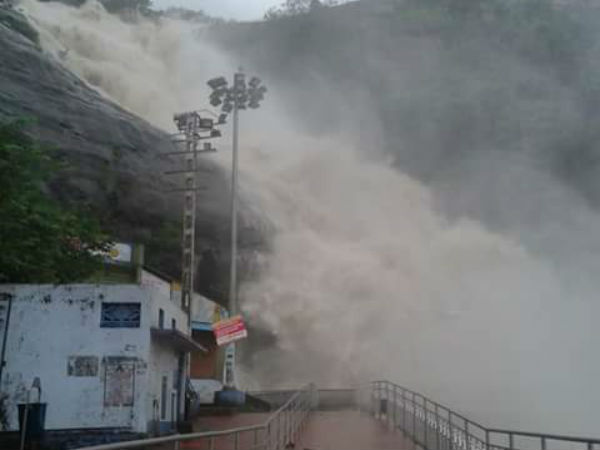 Courtallam falls flooded