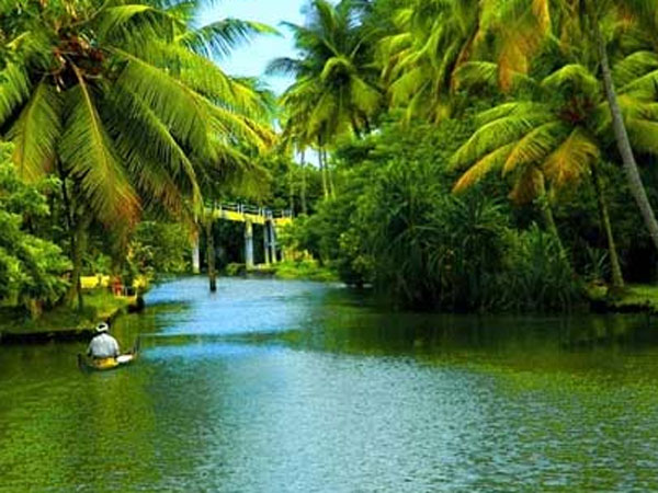 சமூக இயக்கமாக...