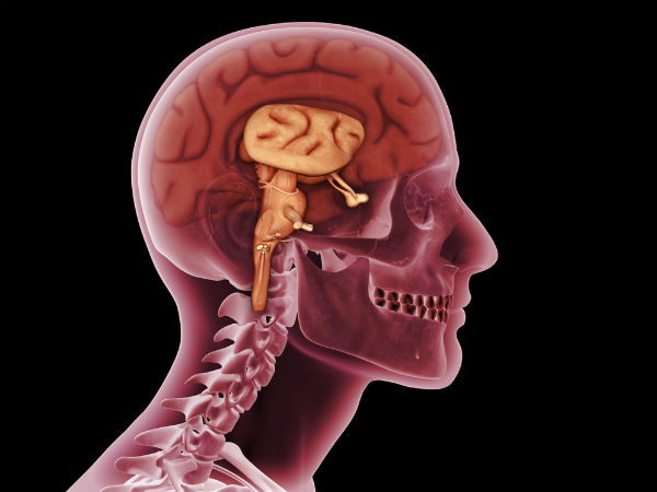 மரணத்தின்போது என்ன நடக்கிறது