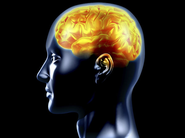 மூளையில் சேரும் பயம்