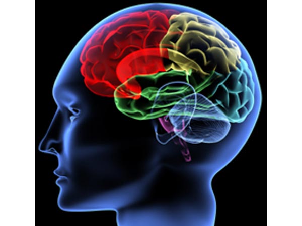 தூண்டப்படும் அட்ரீனலின்