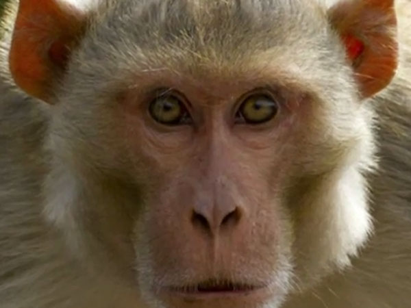 தினசரி 3 மணி நேரம்