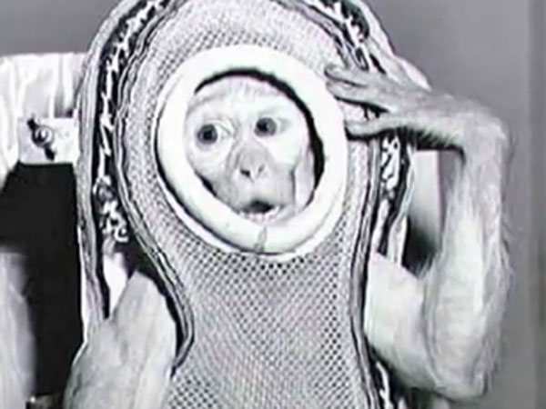 யாரும் இல்லாமல்