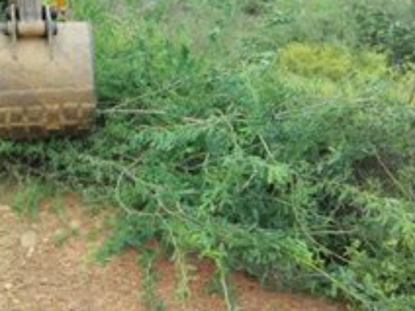 எங்கு அதிகம்?