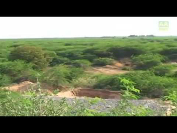 நீதிபதிகள் அதிரடி உத்தரவு