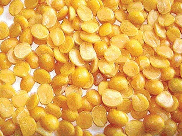 விடுமுறை நாளை இல்லை: